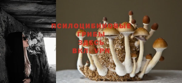 экстази Козловка