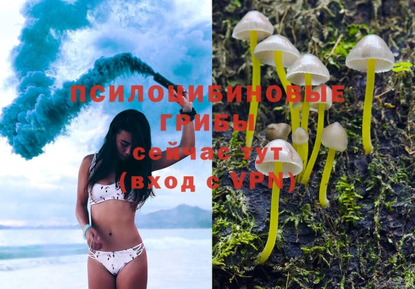 экстази Козловка