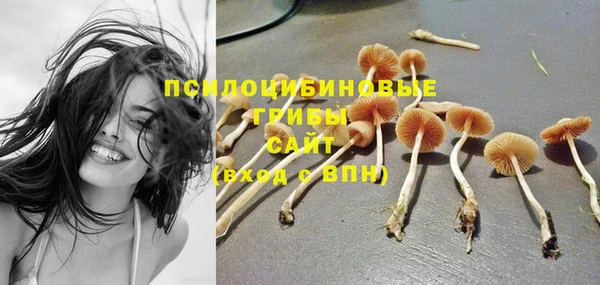 первитин Кинешма