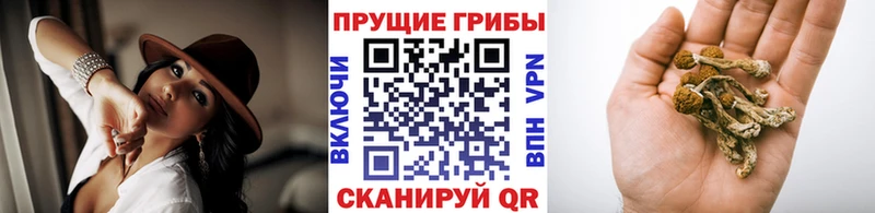 Галлюциногенные грибы ЛСД как найти закладки Мглин